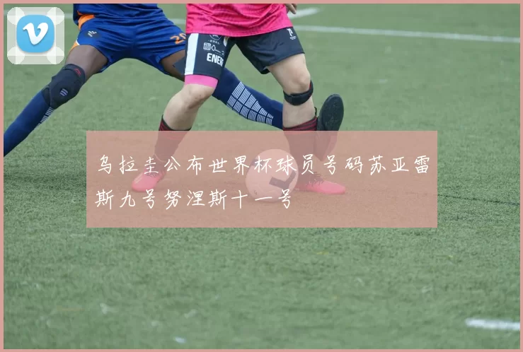 乌拉圭公布世界杯球员号码苏亚雷斯九号努涅斯十一号