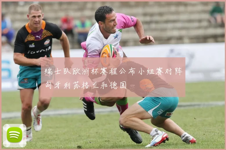 瑞士队欧洲杯赛程公布小组赛对阵匈牙利苏格兰和德国