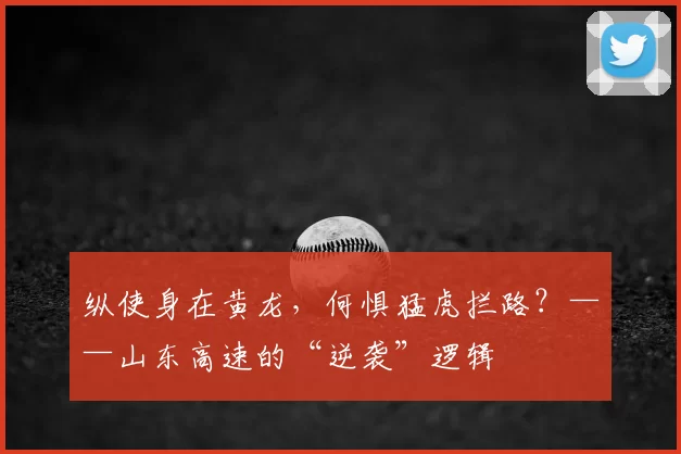 纵使身在黄龙,何惧猛虎拦路?——山东高速的“逆袭”逻辑