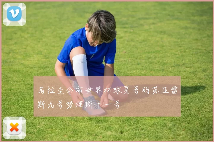 乌拉圭公布世界杯球员号码苏亚雷斯九号努涅斯十一号