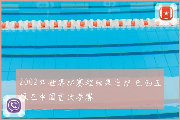 2002年世界杯赛程结果出炉 巴西五冠王中国首次参赛